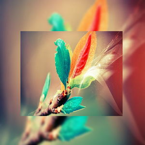 九九久久精品视频
